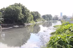Rạch Xuyên Tâm, đoạn qua địa bàn quận Bình Thạnh, bị ô nhiễm trầm trọng. (Ảnh: Trần Xuân Tình/TTXVN) 