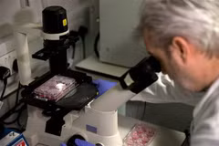 Nhà khoa học Anh Paul McKay nghiên cứu DNA của chuỗi virus corona chủng mới (2019-nCoV) tại phòng thí nghiệm của Đại học Y khoa Hoàng gia London ngày 10/2/2020. (Nguồn: AFP/TTXVN) 