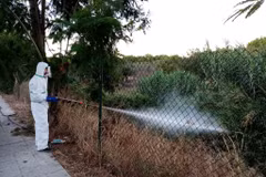Phát hiện 1 bệnh nhân nhiễm virus Tây sông Nile ở miền Nam Tây Ban Nha