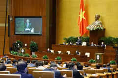 Chủ tịch Quốc hội phát biểu kết thúc chất vấn nhóm vấn đề thứ nhất thuộc lĩnh vực y tế. (Ảnh: Văn Điệp/TTXVN) 