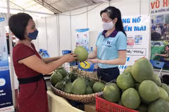 Nhiều gian hàng giới thiệu đặc sản, trái cây vùng miền tại hội chợ. (Ảnh: Mỹ Phương/TTXVN) 
