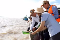 Đại diện các ngành thả giống thủy sản xuống sông Hậu tại Sóc Trăng. (Ảnh: Trung Hiếu/TTXVN)