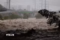 Bão lớn ở Mexicon. (Nguồn: AFP/TTXVN)
