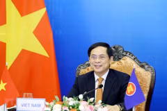 Bộ trưởng Bộ Ngoại giao Bùi Thanh Sơn. (Ảnh: Phạm Kiên/TTXVN) 