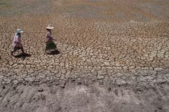 Cảnh khô hạn trên cánh đồng tại Bang Pla Ma, tỉnh Suphanburi, Thái Lan. (Nguồn: AFP/TTXVN) 