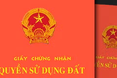 Ảnh minh họa. (Nguồn: TTXVN)