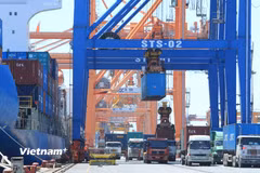 Xuất khẩu tăng trưởng mạnh mẽ trong năm 2024. (Ảnh: Đức Duy/Vietnam+)