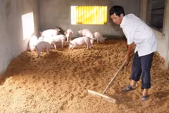 Ảnh chỉ có tính minh họa. (Ảnh: Vũ Sinh/TTXVN)