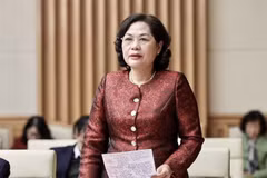 Thống đốc Ngân hàng Nhà nước Nguyễn Thị Hồng báo cáo tại Hội nghị. (Ảnh: PV/Vietnam+) 