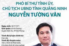 Phó Bí thư Tỉnh ủy, Chủ tịch UBND tỉnh Quảng Ninh Nguyễn Tường Văn