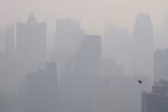 Bụi mịn bao phủ thủ đô Bangkok, Thái Lan ngày 8/1/2020. (Nguồn: AFP/TTXVN)