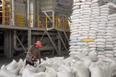 Hội thảo về nông sản và cơ hội kinh doanh với Việt Nam tại Mexico