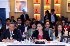 Chủ tịch Quốc hội Nguyễn Thị Kim Ngân cùng đoàn đại biểu Quốc hội Việt Nam tham dự phiên họp. (Ảnh: Trọng Đức/TTXVN)