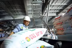 Hoạt động sản xuất tại Nhà máy Đạm Cà Mau. (Ảnh: Huy Hùng/TTXVN)