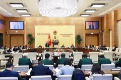 Toàn cảnh phiên họp. (Ảnh: Doãn Tấn/TTXVN)
