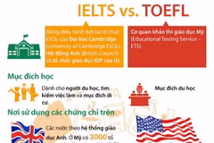 [Infographics] So sánh sự khác biệt giữa cuộc thi IELTS và TOEFL