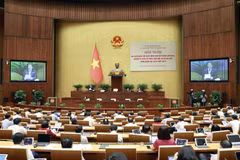 Quang cảnh hội nghị. (Ảnh: Doãn Tấn/TTXVN)