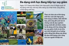 [Infographics] Cảnh báo đa dạng sinh học đang tiếp tục suy giảm