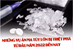 Những vụ án ma túy lớn bị triệt phá từ đầu năm 2022 đến nay
