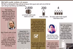 [Infographics] Toàn cảnh vụ bê bối nước mắm có chứa asen