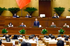Phó Thủ tướng Lê Thành Long giải trình, làm rõ một số vấn đề đại biểu Quốc hội nêu. (Ảnh: Doãn Tấn/TTXVN)