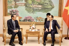 Phó Thủ tướng Bùi Thanh Sơn và Bộ trưởng Phosay Sayasone trao đổi về hợp tác hai nước trong lĩnh vực năng lượng và mỏ. (Ảnh: TTXVN phát)