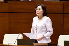 Thống đốc Ngân hàng Nhà nước Việt Nam Nguyễn Thị Hồng trả lời chất vấn. (Ảnh: Doãn Tấn/TTXVN)