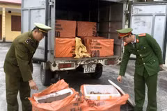 Tịch thu hơn 1 tấn sản phẩm động vật không rõ nguồn gốc. (Ảnh: Đồng Thúy/TTXVN)