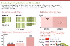 Dự báo tăng trưởng tiêu thụ xe ôtô ở Việt Nam đến năm 2025