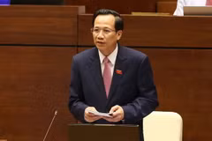 Bộ trưởng Bộ Lao động, Thương binh và Xã hội Đào Ngọc Dung trả lời chất vấn. (Ảnh: Doãn Tấn/TTXVN)