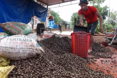 Đại sứ Việt Nam tại Tanzania Nguyễn Nam Tiến cùng chụp ảnh lưu niệm với Bộ trưởng Đầu tư Tanzania, ông Geoffrey Mwambe (thứ hai, trái, hàng trước) và một số lãnh đạo của Tanzania, tháng 8/2021. (Ảnh: TTXVN)