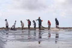 Diêm dân rửa bạt chuẩn bị lấy nước làm muối tại Bạc Liêu. (Ảnh: Tuấn Kiệt/TTXVN)