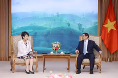 ‘Quan hệ Việt Nam-Nhật Bản đang tốt đẹp trên tất cả các lĩnh vực’