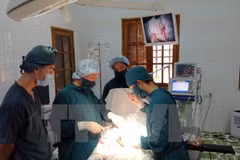 Ảnh minh họa. (Ảnh: Nguyễn Đức Quân/TTXVN)