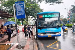 Các tuyến xe buýt của Transerco sẽ vận hành xuyên suốt trong dịp nghỉ Tết Nguyên đán Ất Tỵ 2025. (Ảnh: PV/Vietnam+)