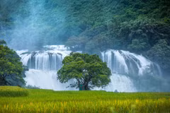 Thác Bản Giốc được xem là một trong những tặng vật vô giá mà thiên nhiên ban tặng cho Cao Bằng.