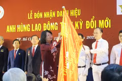 Phó Chủ tịch nước Đặng Thị Ngọc Thịnh trao tặng danh hiệu Anh hùng Lao động thời kỳ đổi mới cho tập thể Bệnh viện Nhân dân 115 TP.HCM. (Ảnh: Đinh Hằng/TTXVN)