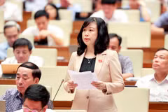 Bộ trưởng Bộ Y tế Đào Hồng Lan phát biểu giải trình, làm rõ một số vấn đề Đại biểu Quốc hội nêu. (Ảnh: Doãn Tấn/TTXVN)