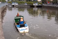 Các đội dịch vụ công ích của quận và thành phố tiến hành vớt cá chết để đảm bảo vệ sinh môi trường cho tuyến kênh Nhiêu Lộc-Thị Nghè. (Ảnh: Thanh Vũ/TTXVN)