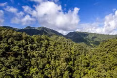 Ảnh minh họa. (Nguồn: iucn.org)