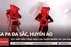 Sa Pa: Sức hấp dẫn tổng hòa của thiên nhiên và con người