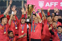Việt Nam vô địch AFF Suzuki Cup 2018.