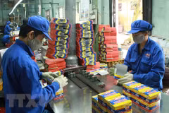Đóng gói sản phẩm pin R20 tại Công ty Cổ phần Pin Hà Nội thuộc Tập đoàn Hóa chất Việt Nam. (Ảnh: Hoàng Hùng/TTXVN)