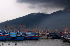 Tàu thuyền ngư dân về neo đậu tránh bão tại âu thuyền Thọ Quang, thành phố Đà Nẵng. (Ảnh: An Đăng/TTXVN)