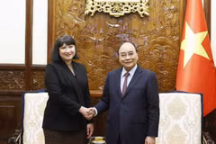 Chiều 4/1, tại Phủ Chủ tịch, Chủ tịch nước Nguyễn Xuân Phúc tiếp Đại sứ Romania Cristina Romila. (Ảnh: Thống Nhất/TTXVN)