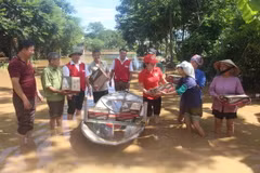 Cán bộ Hội Chữ thập Đỏ tỉnh Thanh Hóa trao quà đến người dân vùng lũ huyện Yên Định. (Ảnh: Khiếu Tư/TTXVN)