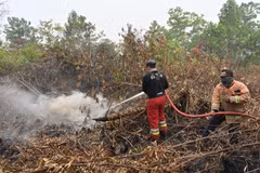 Lực lượng cứu hỏa nỗ lực dập lửa cháy rừng tại Kampar, Riau, Indonesia, ngày 13/9/2019. (Nguồn: AFP/TTXVN)