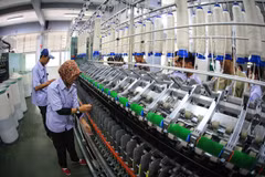 Ảnh chỉ có tính minh họa. (Nguồn: Jakarta Globe)