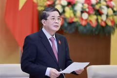 Phó Chủ tịch Quốc hội Nguyễn Đức Hải phát biểu. (Ảnh: Doãn Tấn/TTXVN)