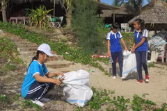 Các em học sinh tham gia nhặt rác tại bãi biển An Bàng. (Ảnh: Nguyễn Sơn/Vietnam+)